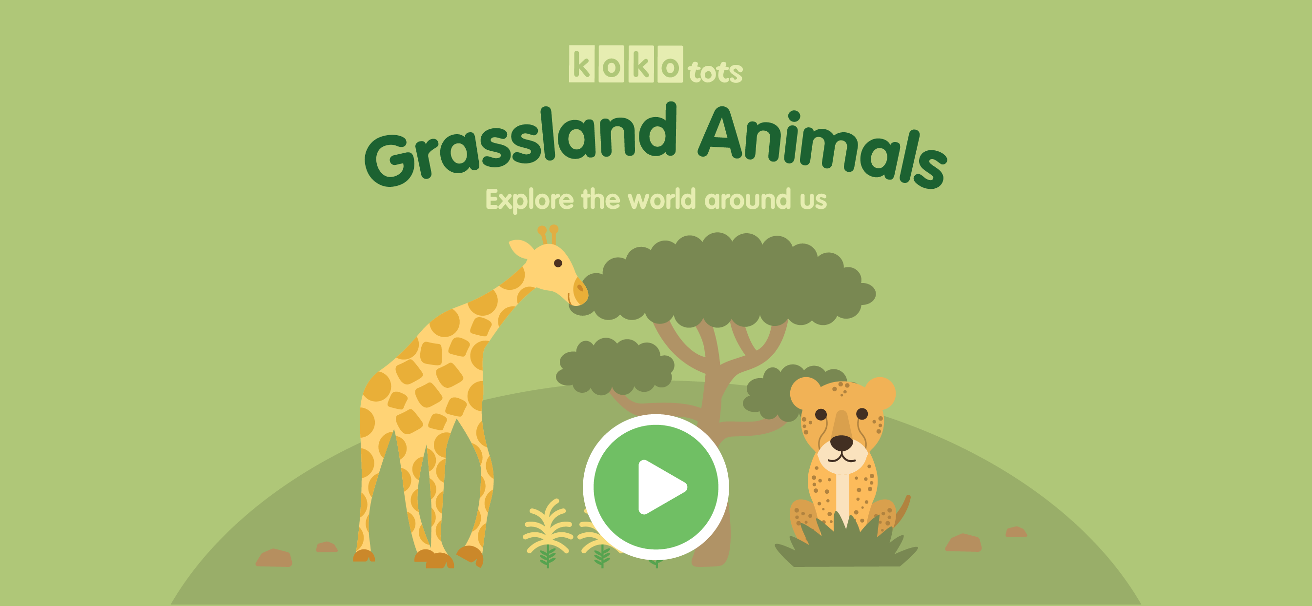 Grassland Animals for Kids