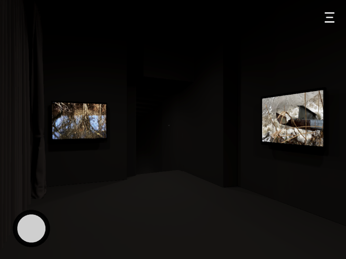 Carlo Cinque Virtual Gallery