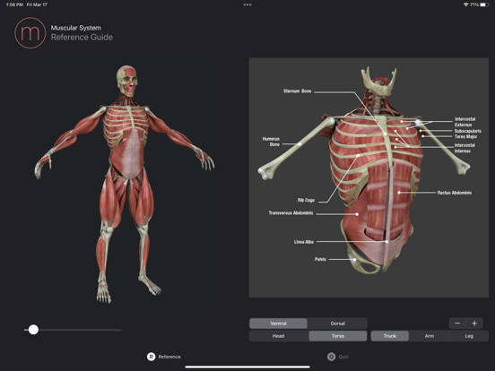 Screenshot #6 pour Muscle Study Guide