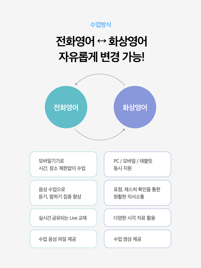 민트영어 - 전화영어  화상영어