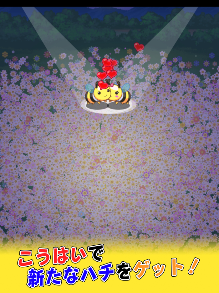 ハチミツコレクション