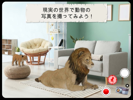 4D Kid Explorer: 野生動物（完全バージョン）のおすすめ画像8