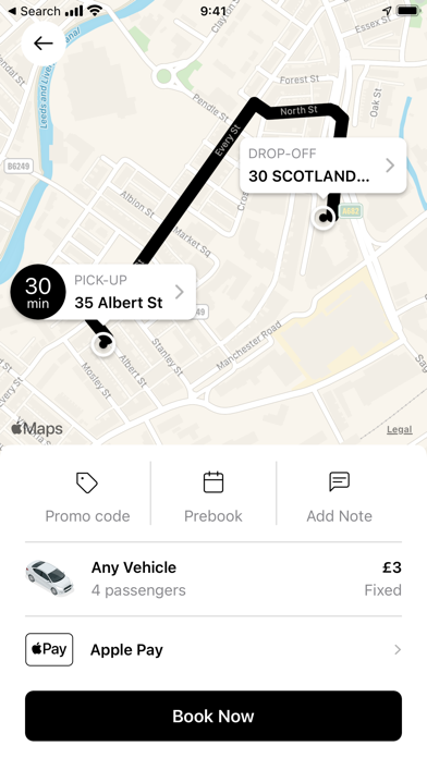 Cavalier Taxis. Screenshot