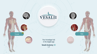 Vesalii Anatomy Student Screenshot