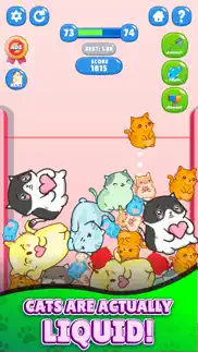 jello cats iphone screenshot 3