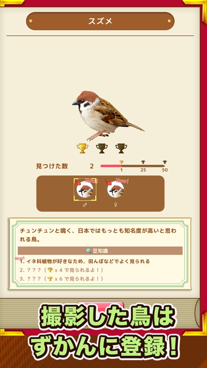 鳥クエスト - 鳥探しオートバトルRPG