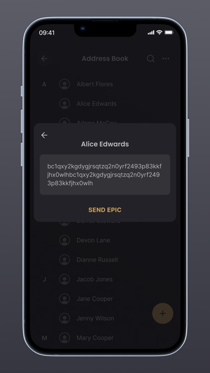 Epic Pay screenshot-4