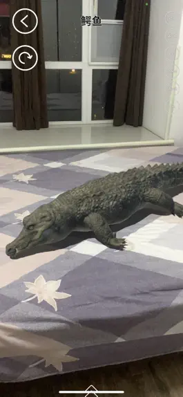 Game screenshot Real AR Animals mod apk