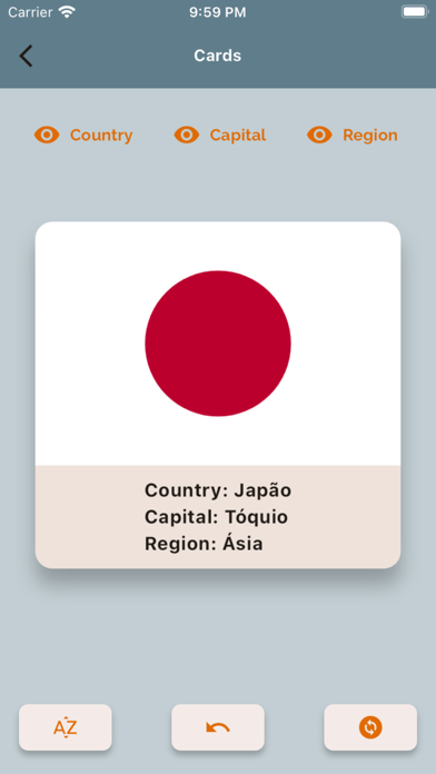 Countries And Flags Screenshot