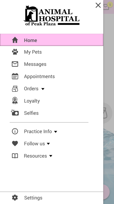 Animal Hospital of Peak Plaza Screenshot