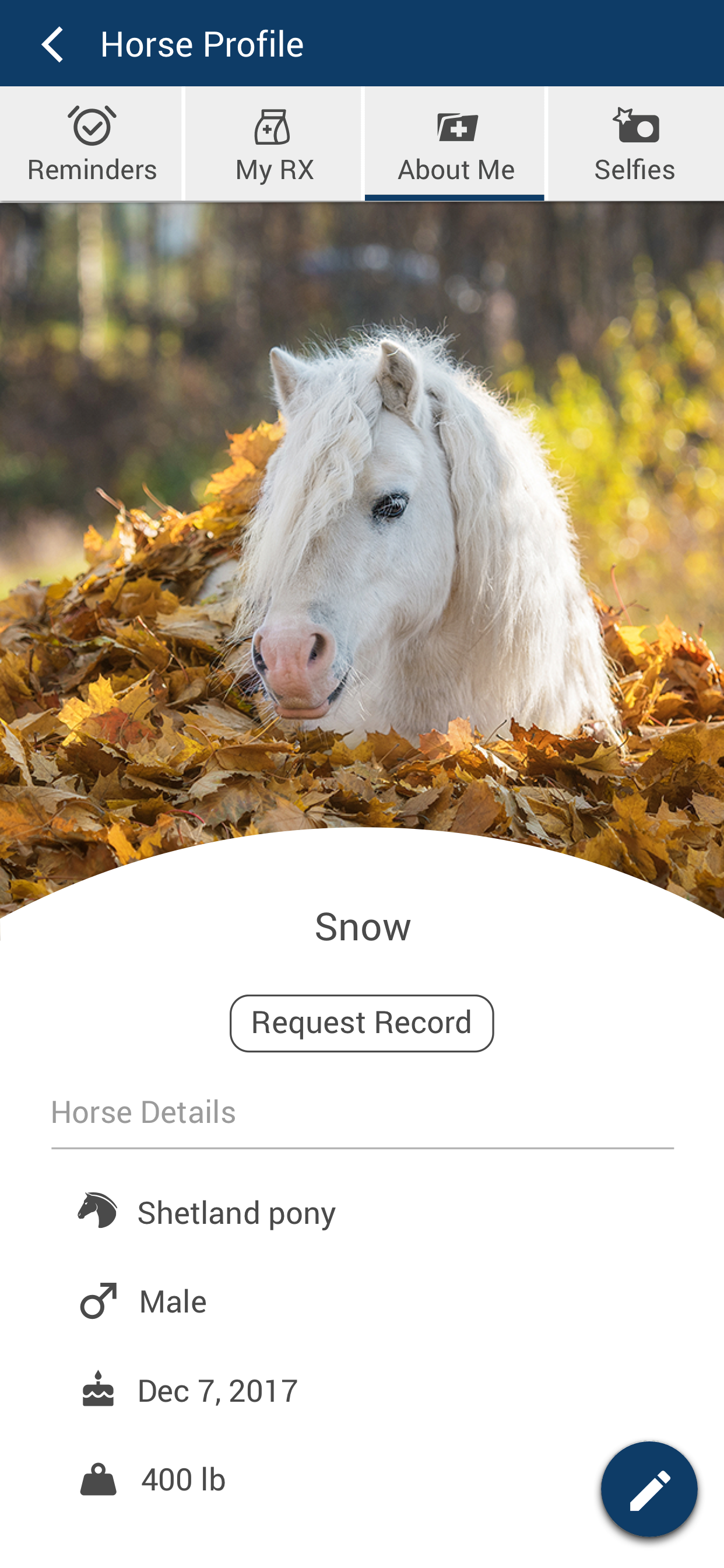 Mandarin Equine Veterinary screenshot 3