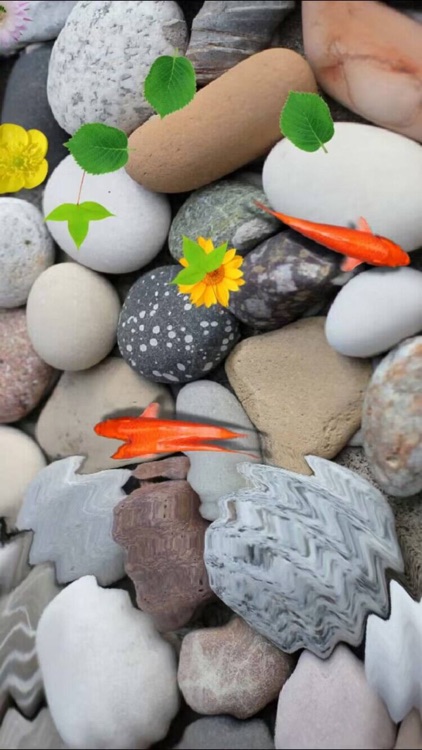 Pond Koi－Decompress and relax! screenshot-5