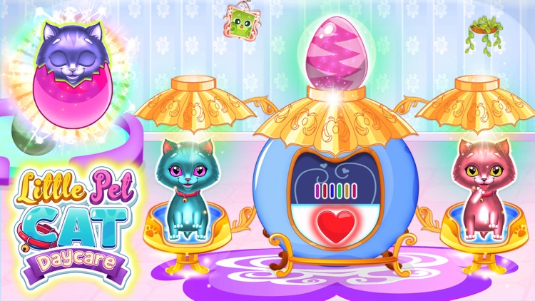 Dream Pet Care Animal Rescue