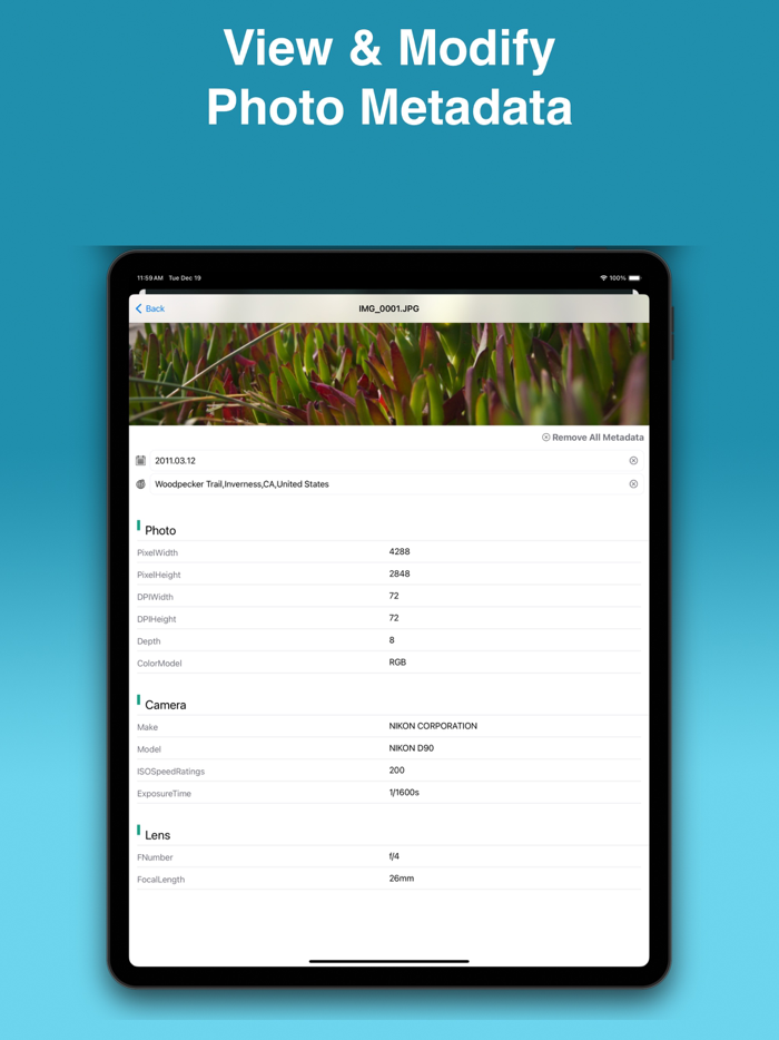 Auto Blur Faces Photo Privacy