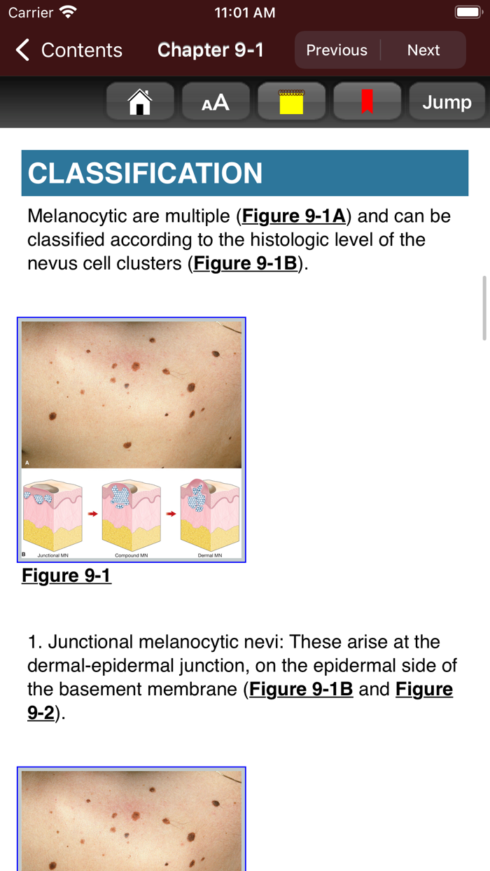 Fitzpatricks Atlas-Synopsis 9E