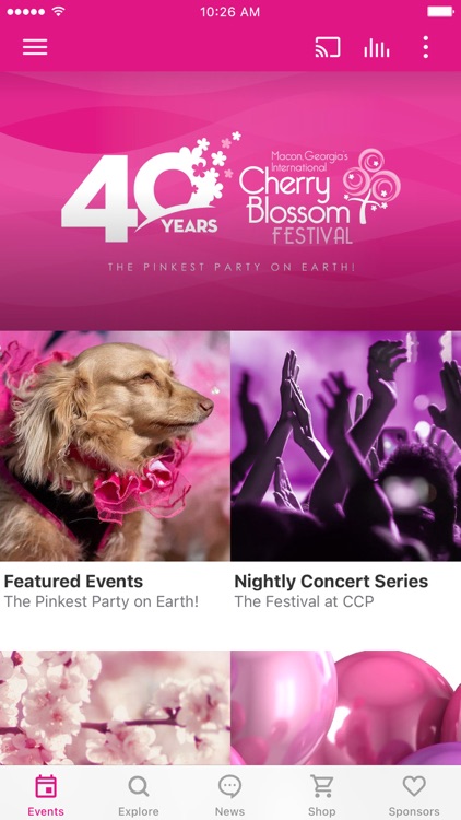 Cherry Blossom Festival