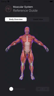 human muscular system guide problems & solutions and troubleshooting guide - 3