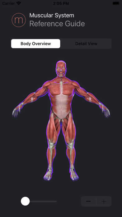 Human Muscular System Guideのおすすめ画像6