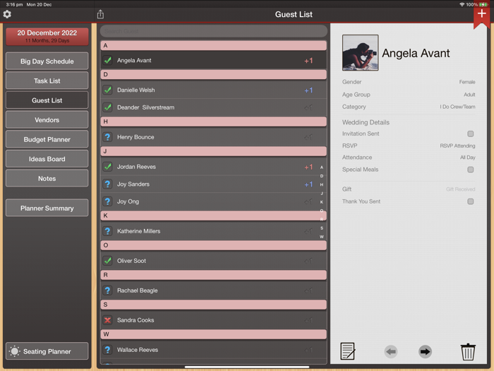 Wedding Planner Professional