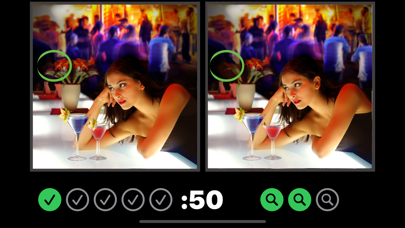 Image Hunt Spot the Difference Screenshot