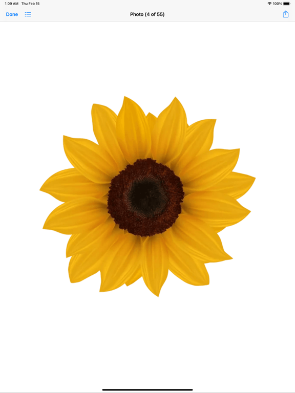 RoseDay Flower of Love Sticker iPad screenshot 9 - Stickers app