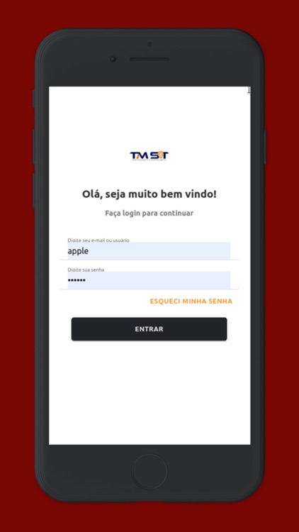 TMSAT Rastreamento screenshot-9