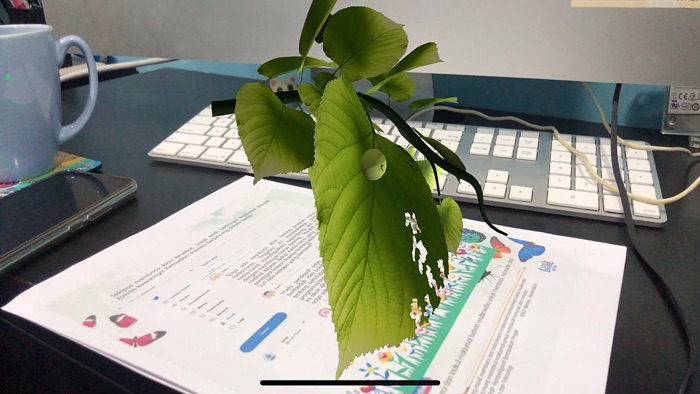 AR DBP Bahasa Melayu Tahun 6