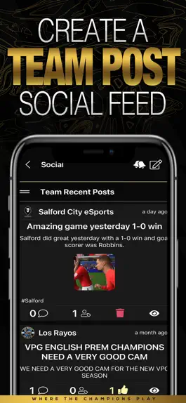 Game screenshot Virtual Pro Gaming mod apk