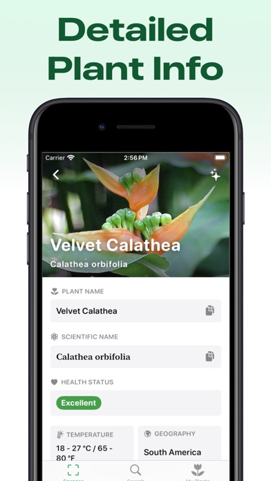 Plant Identifier: Care & Tips Screenshot