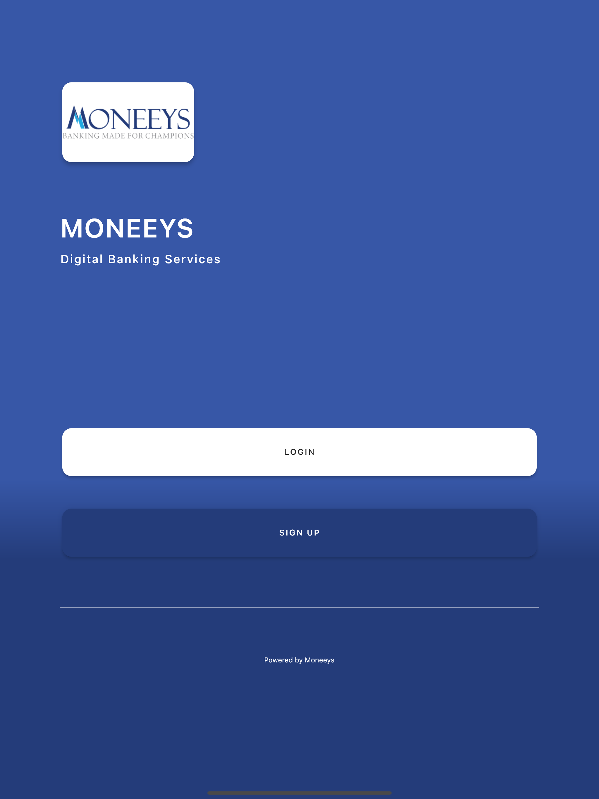 Moneeys screenshot 9