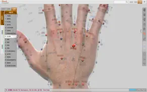 acupuncture point of hand iphone resimleri 4
