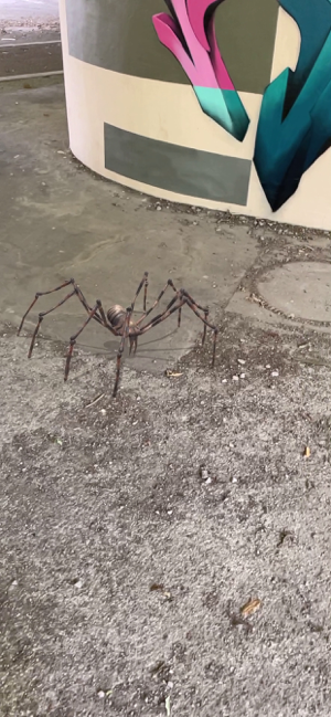 Captura de pantalla de AR Spiders