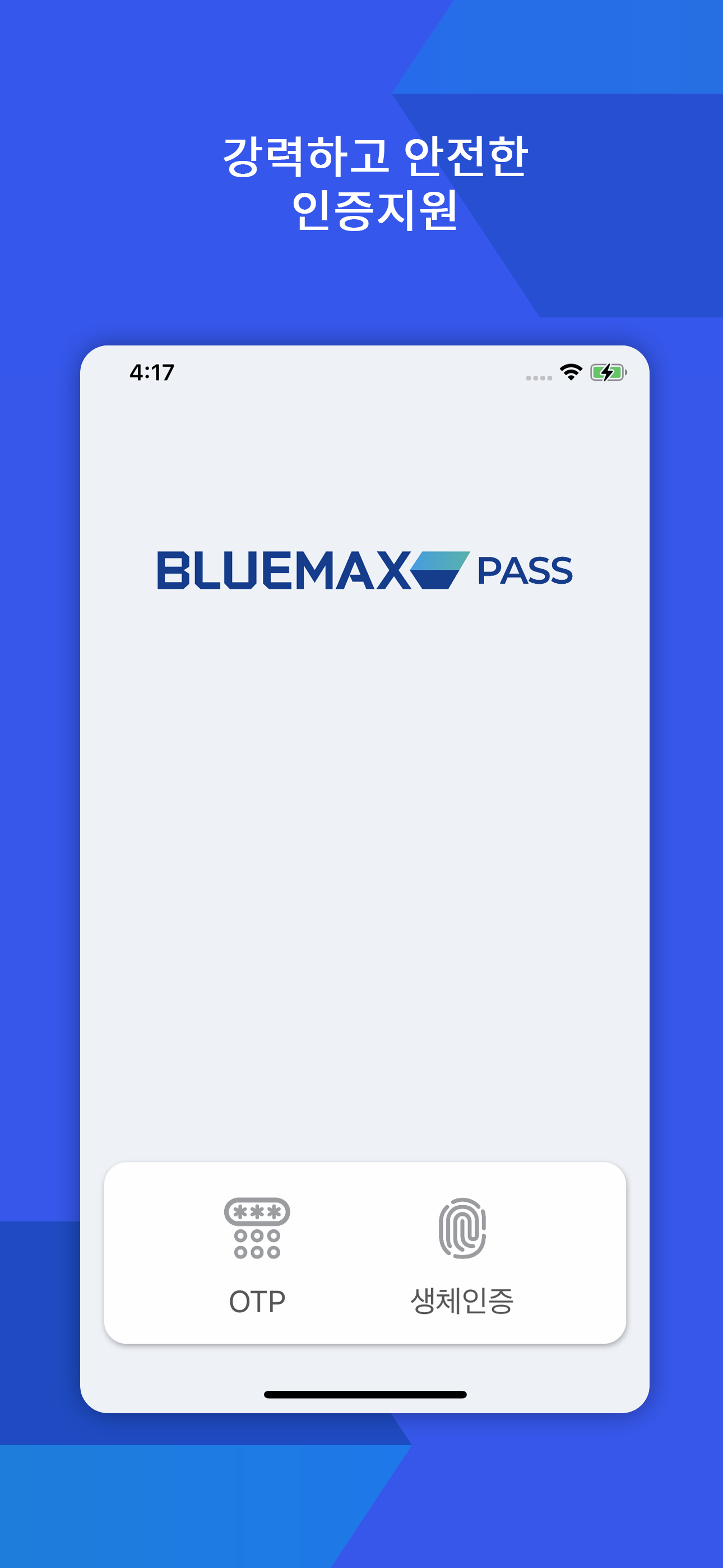 BLUEMAX PASS
