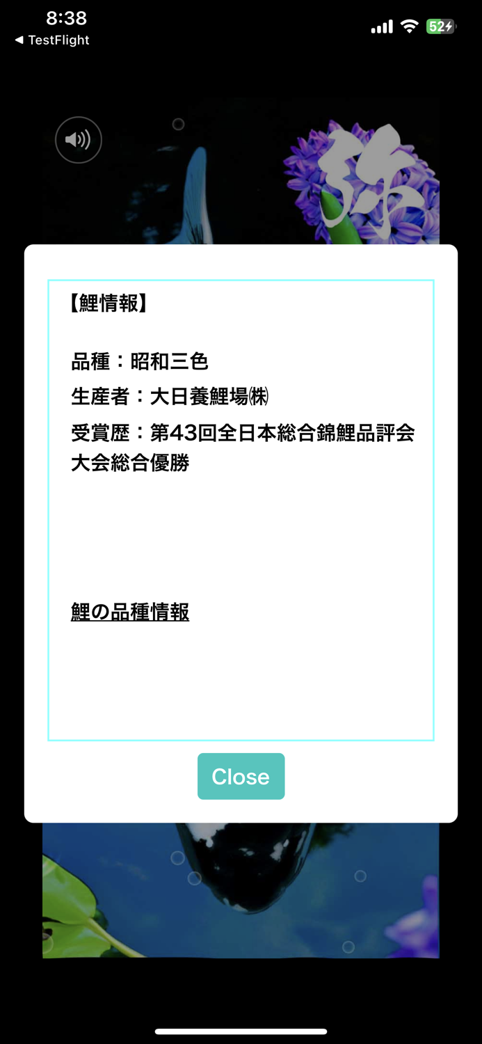 錦鯉四季暦　～にしきごいしきごよみ～