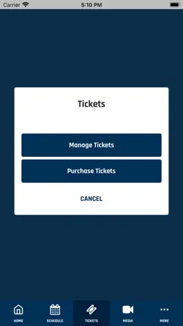 Game screenshot Michigan Athletics hack