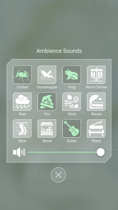 Bird Sounds Relax Screenshot