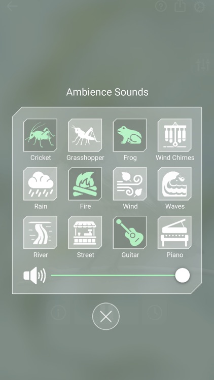 Bird Sounds Relax screenshot-6