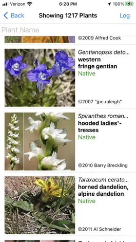 Game screenshot NT Wildflowers hack