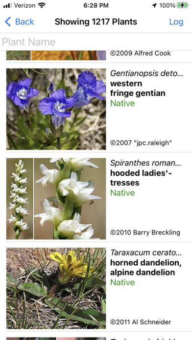 NT Wildflowers Screenshot