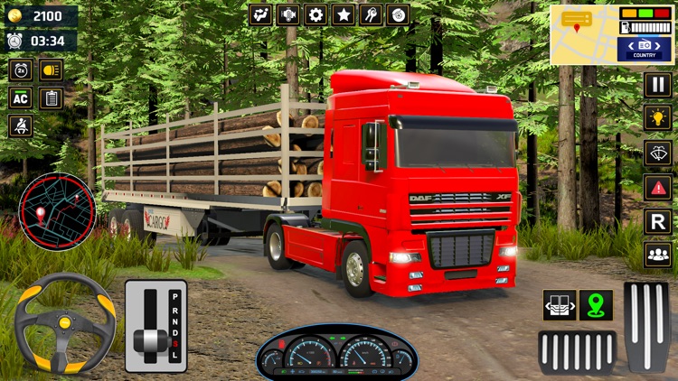 Euro Transporter Truck Driver