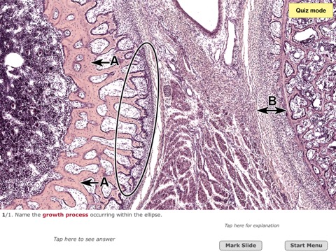 Histo!のおすすめ画像6