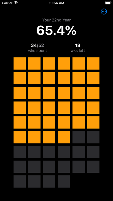 Life Progress - Life Calendar Screenshot