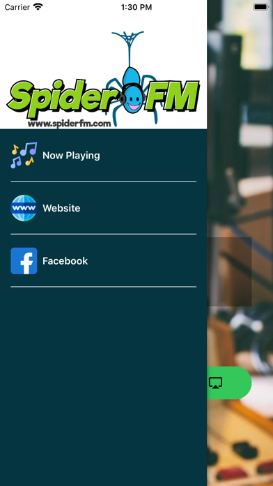 Screenshot #2 pour Spider FM