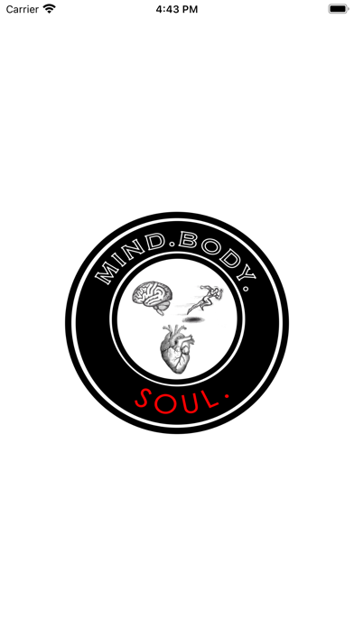 Mind Body Soul Matrix Screenshot