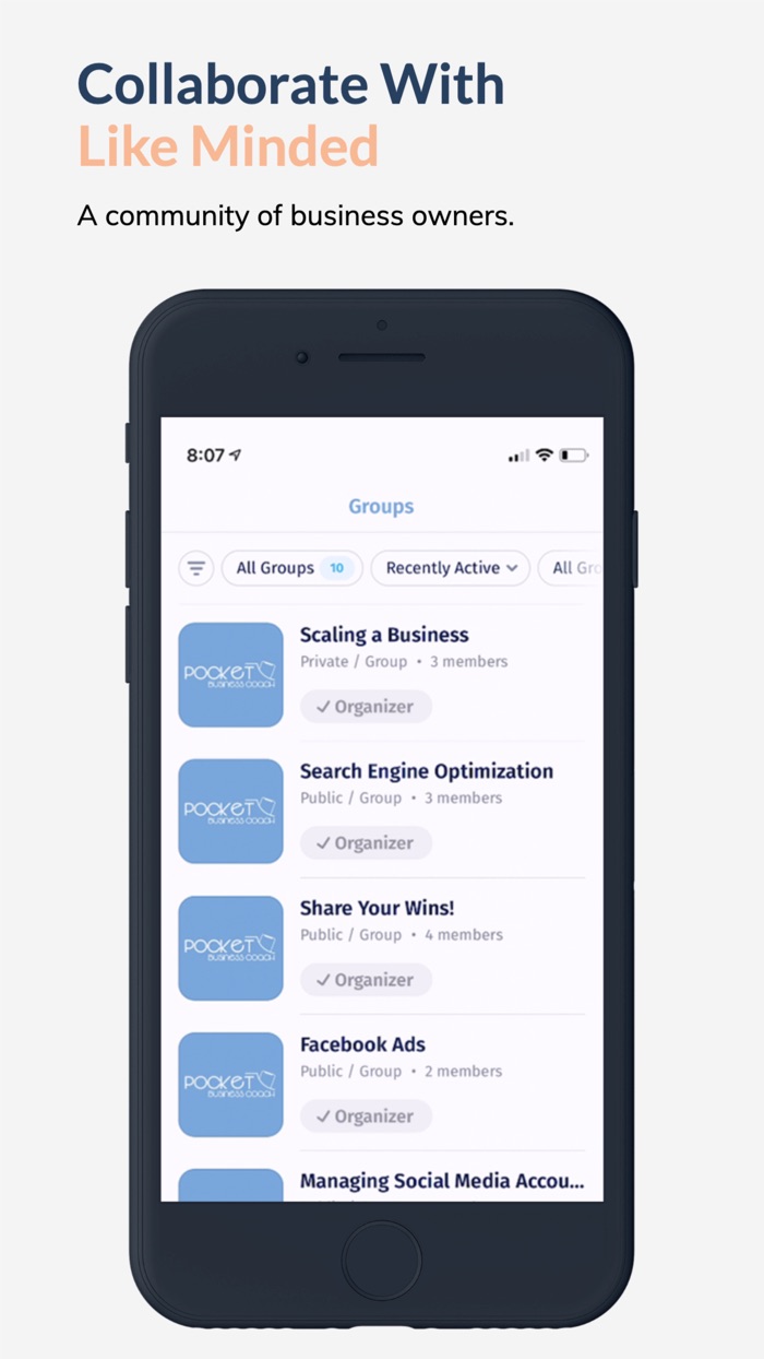 Pocket Business Coach