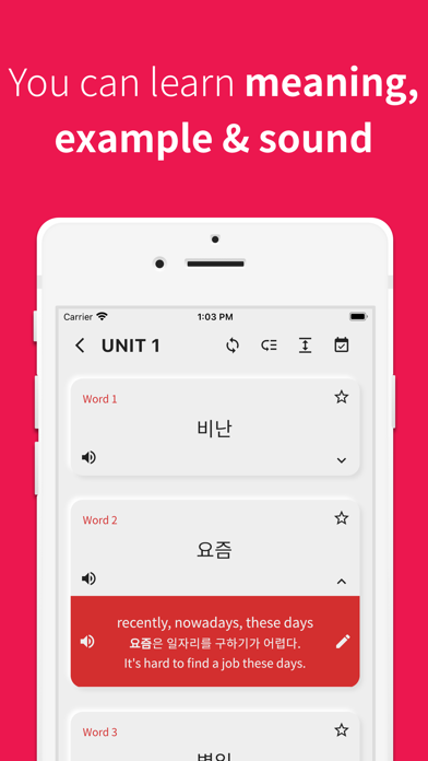 Korean vocabulary, TOPIK words Screenshot