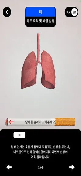 Game screenshot 경상남도교육청 흡연예방 교육 AR apk