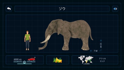 4D Kid Explorer: 野生動物－子供向け教育ゲのおすすめ画像5