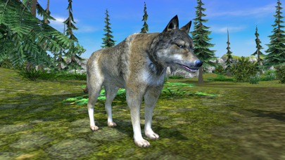 Wolf Simulator - Animal Games Screenshot