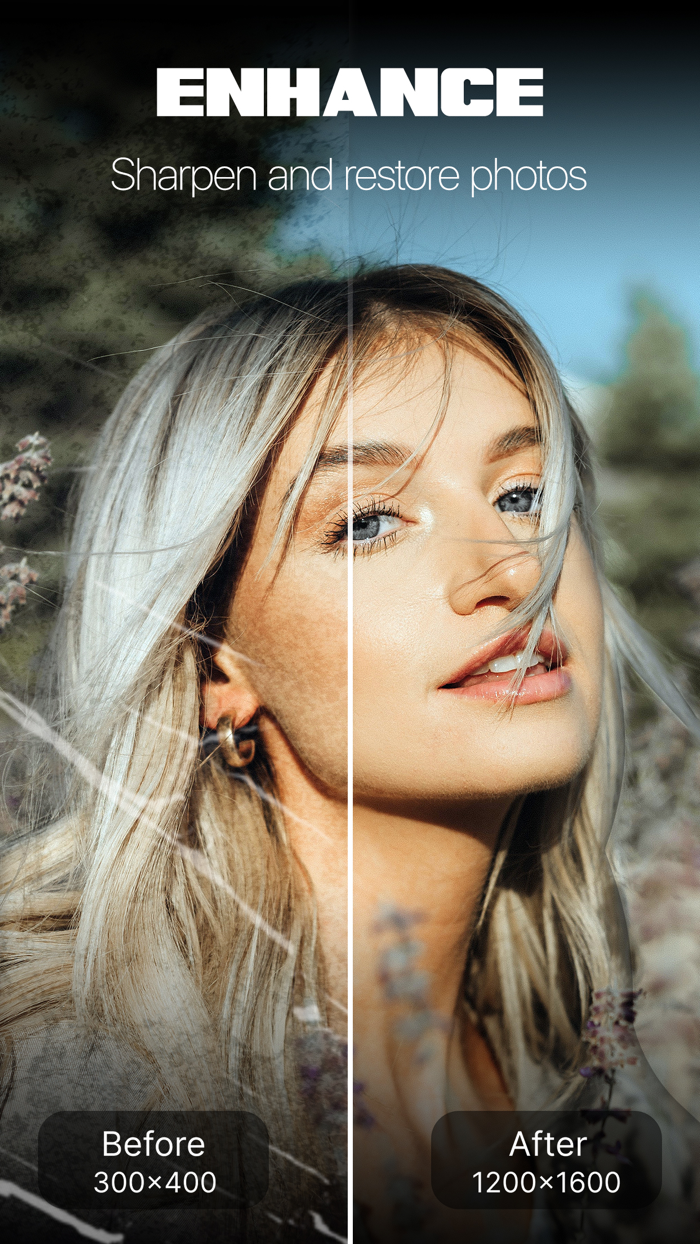 PicFix Magic AI Art Generator